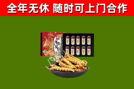 仙居县回收冬虫夏草价格